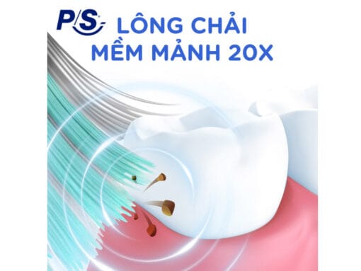 Bộ 2 bàn chải đánh răng P/S 4D siêu mềm mảnh chăm sóc nướu - Hình ảnh 5