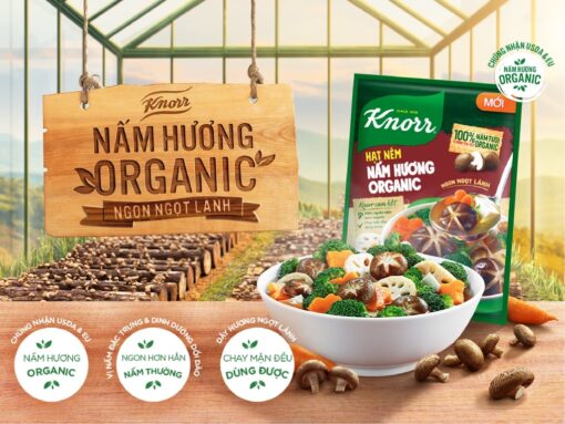 Hạt nêm chay Knorr nấm hương organic gói 380g - Hình ảnh 2