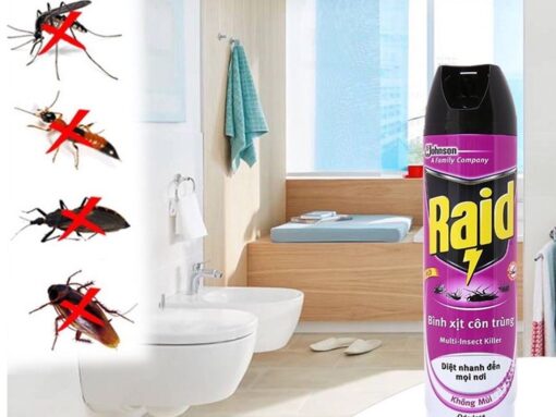 Bình xịt côn trùng Raid không mùi 600ml
